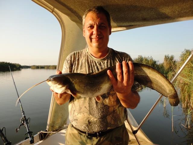 delta rosu 2011 - dsc00854.JPG